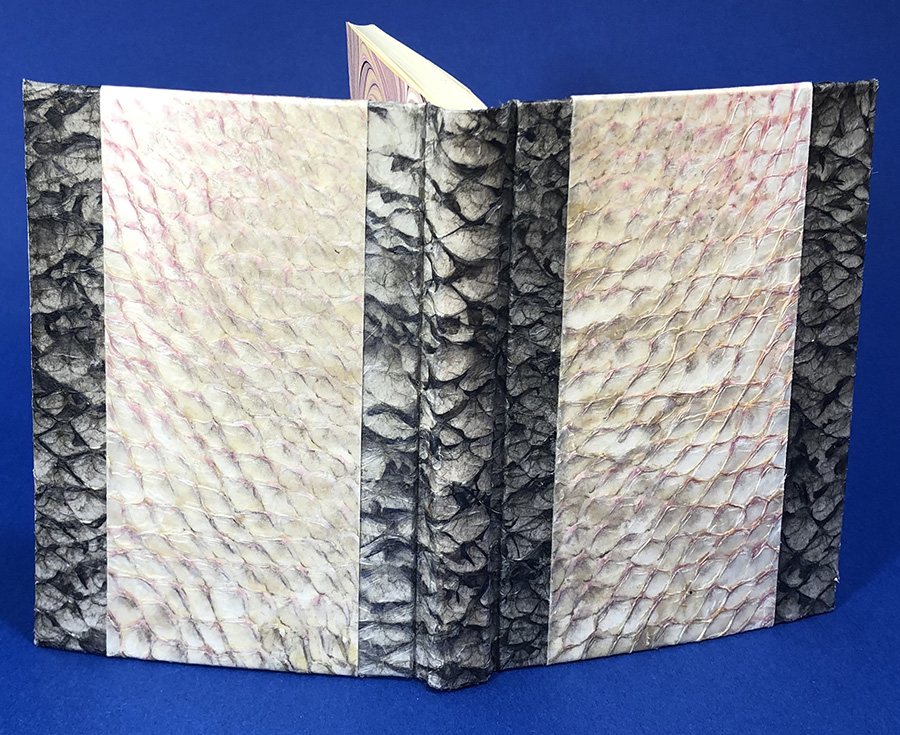 Schneider full binding